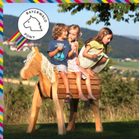 Holzpferd Bayerwald-Pony für Garten u Kindergarten CE, DIN EN 1176