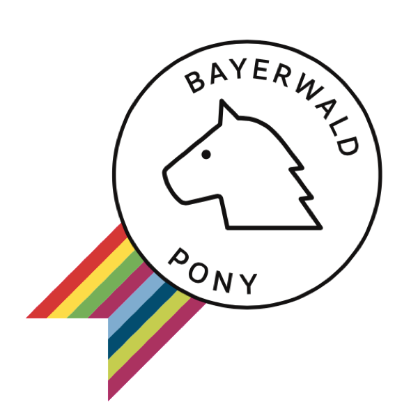 Holzpferd-Bayerwald-Pony