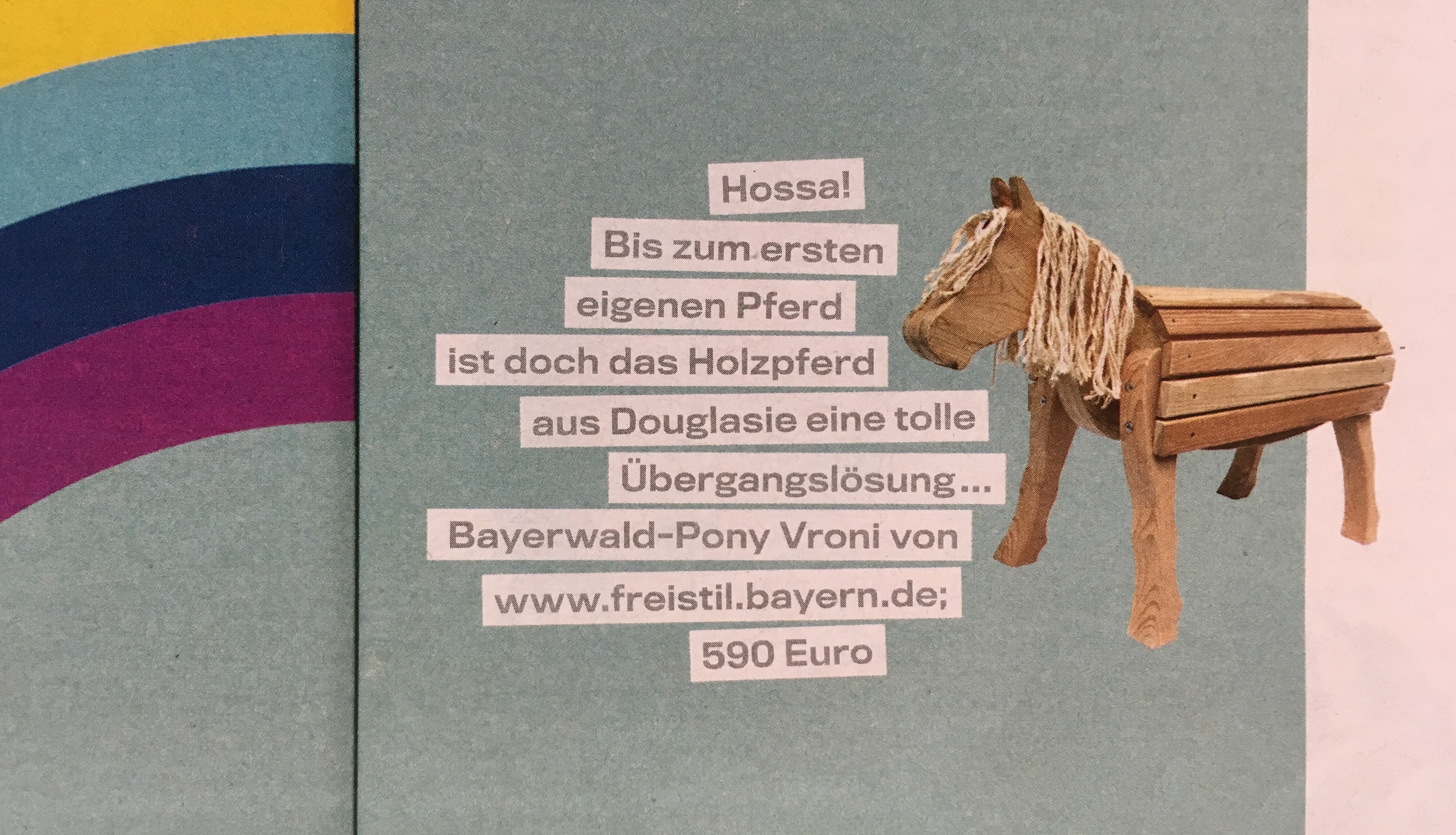 Leben-Erziehen-Extra-Kindergarten-2018-Holzpferd-Bayerwald-Pony